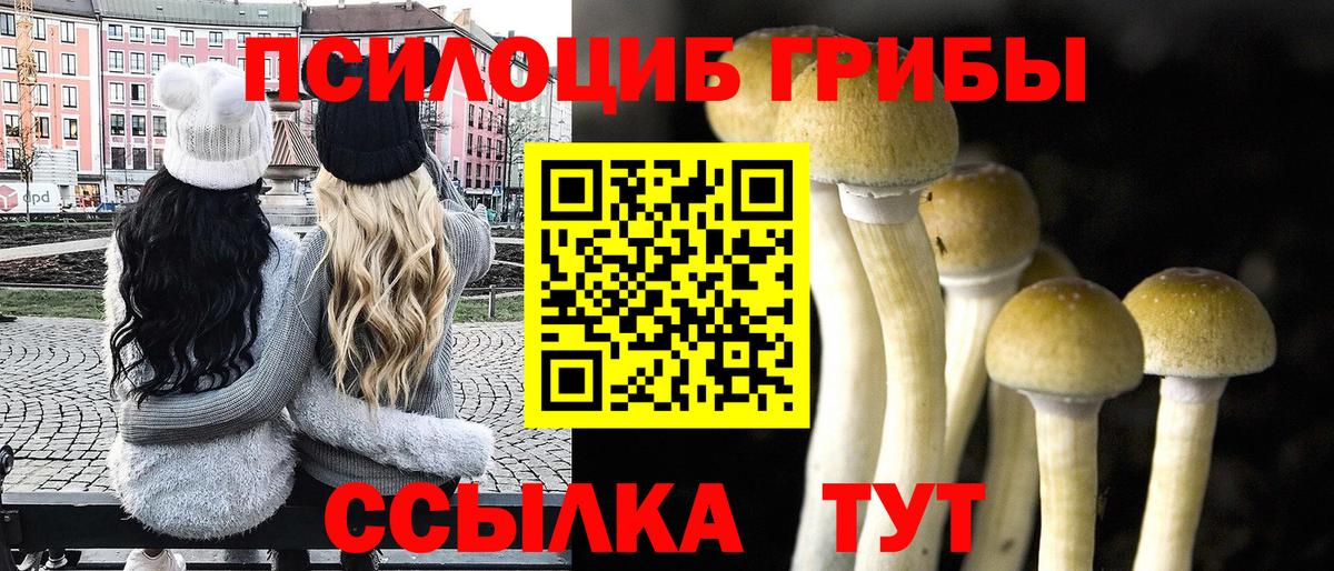 Псилоцибиновые грибы прущие грибы  купить закладку  Верхняя Салда  Вход с VPN 